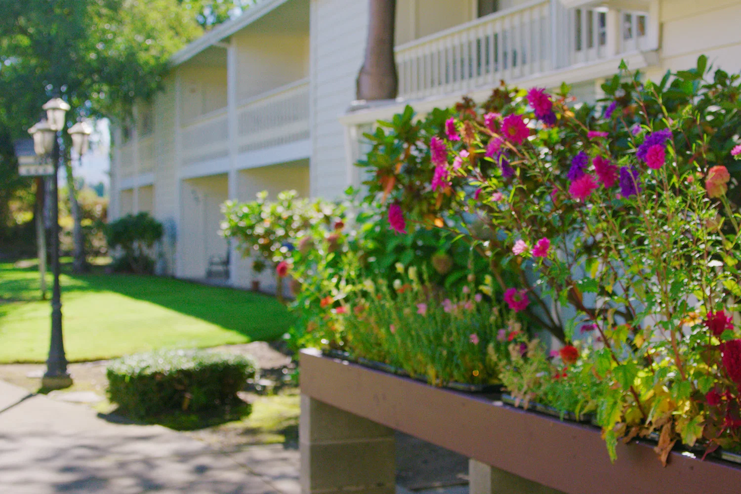 NORTHRIDGE SENIOR LIVING