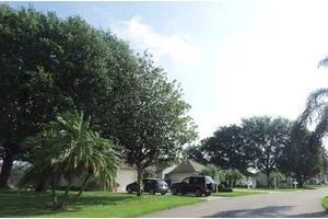 OAKS VILLAGE