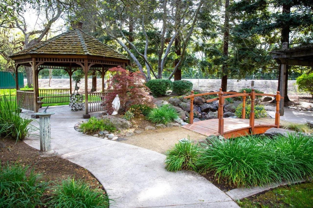 O'CONNOR WOODS