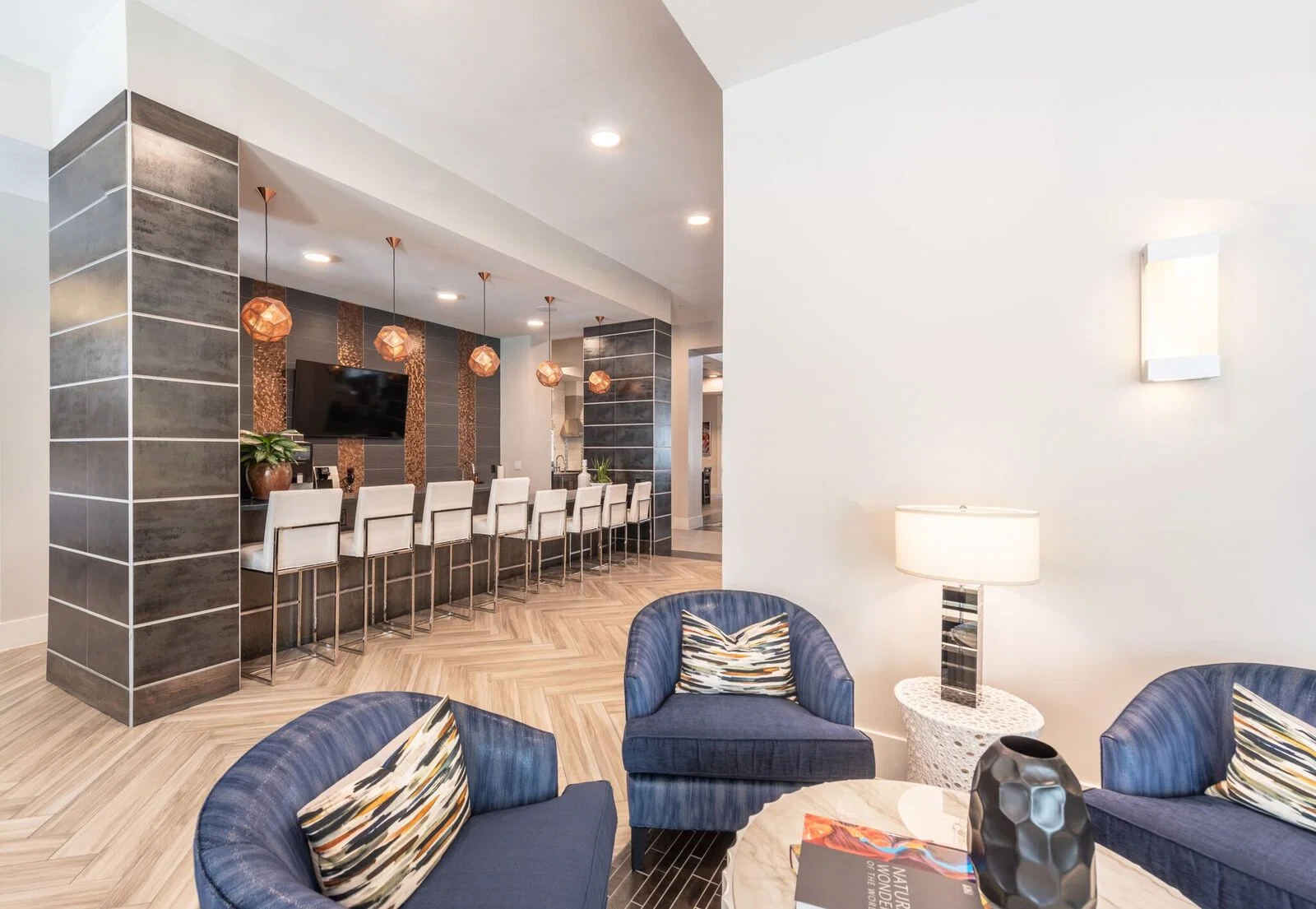 OVERTURE DOMAIN 55+ APARTMENT HOMES