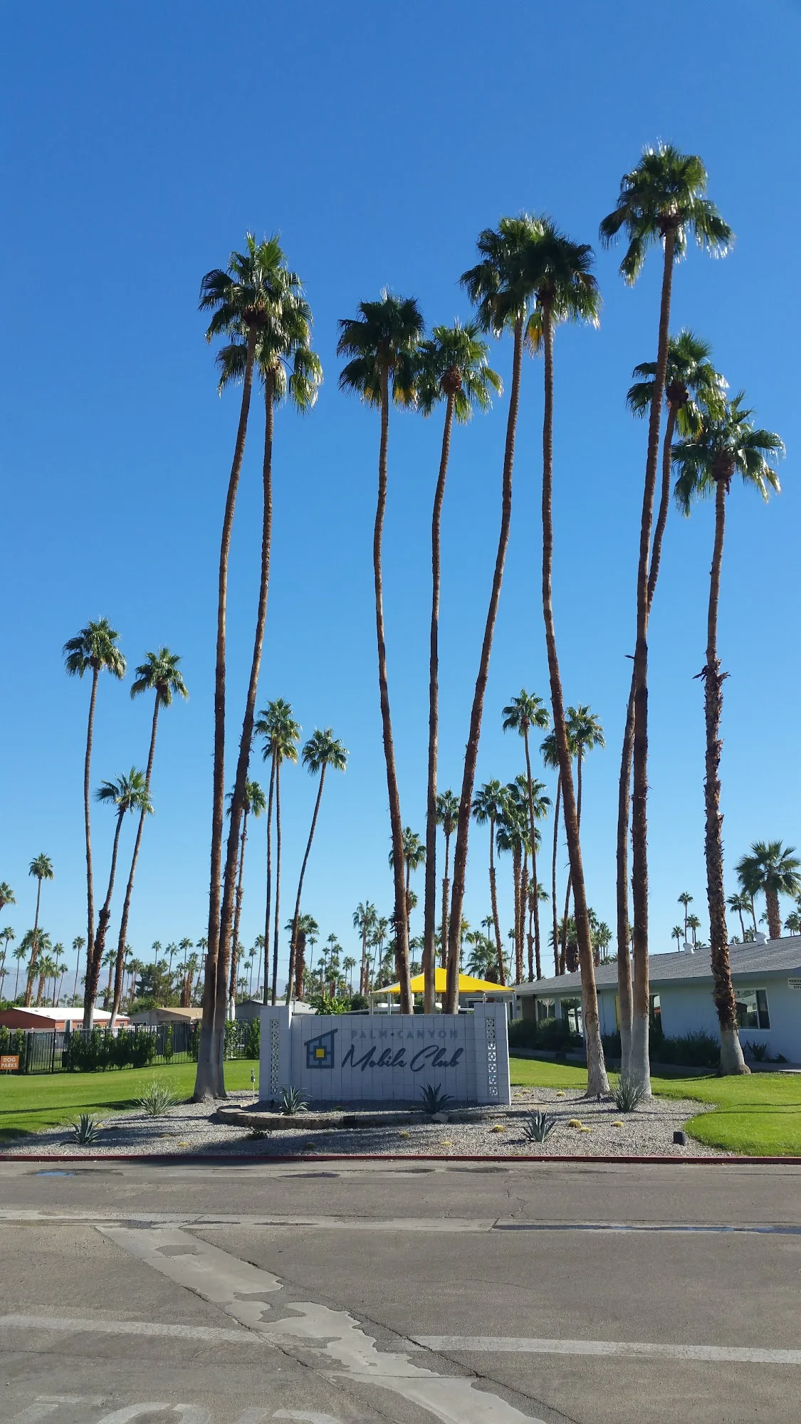 PALM CANYON MOBILE CLUB
