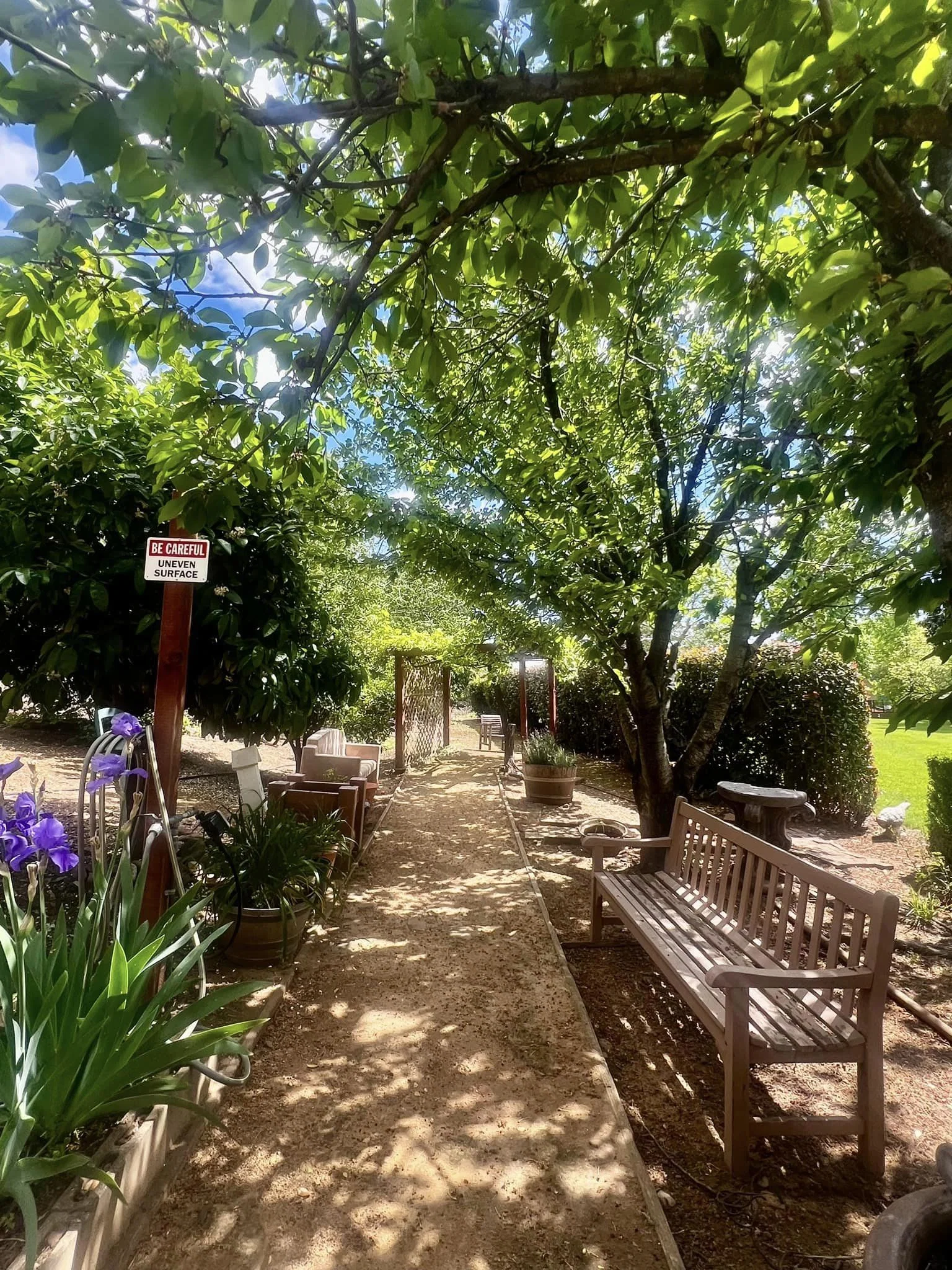 River Commons Senior Living