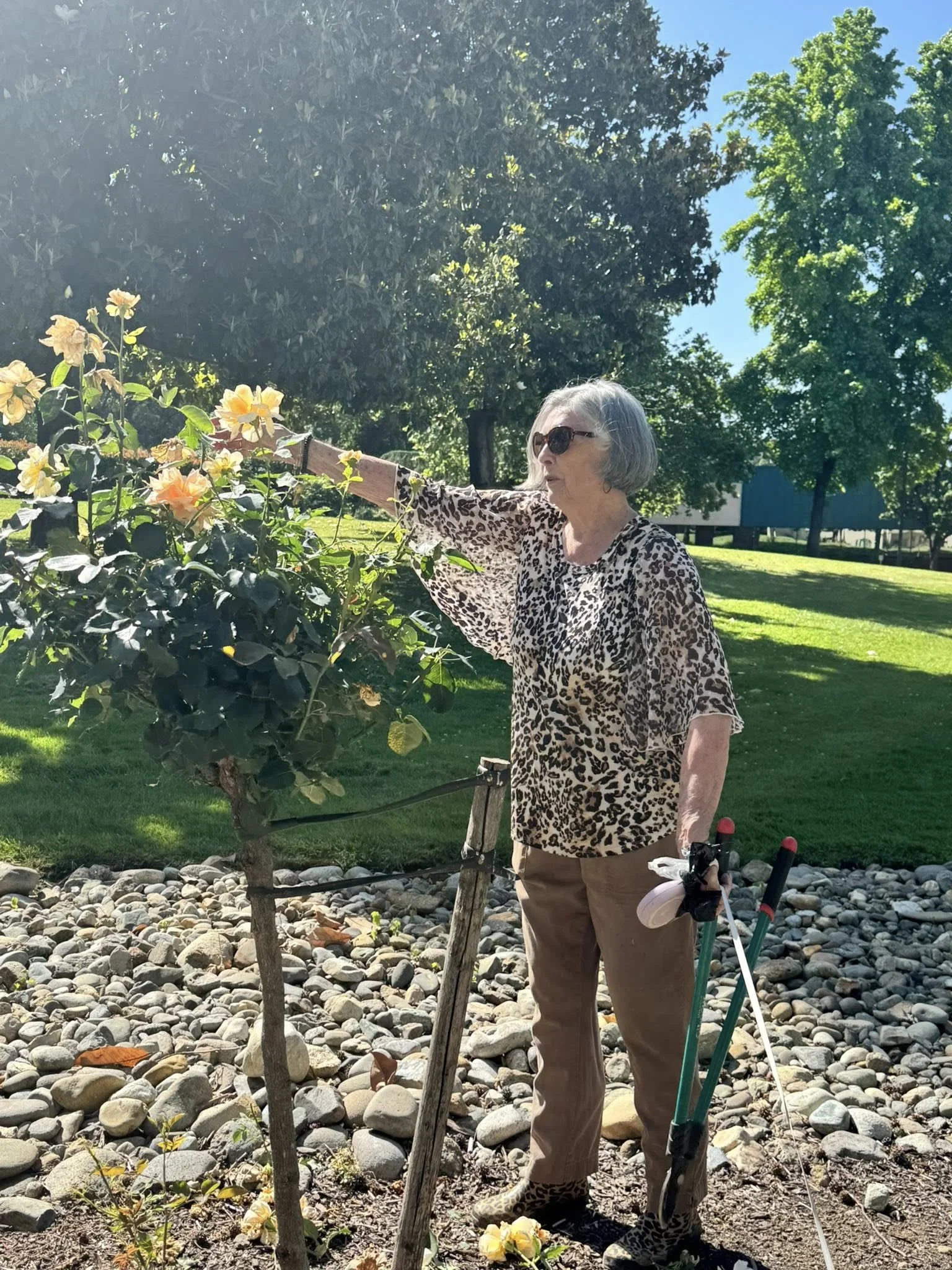River Commons Senior Living