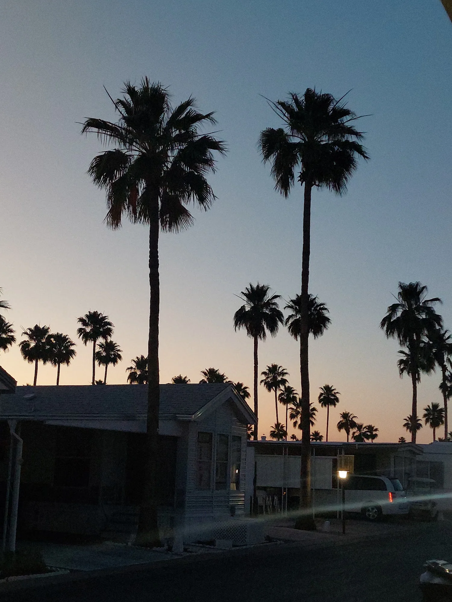 Saguaro Sun 55+ Community