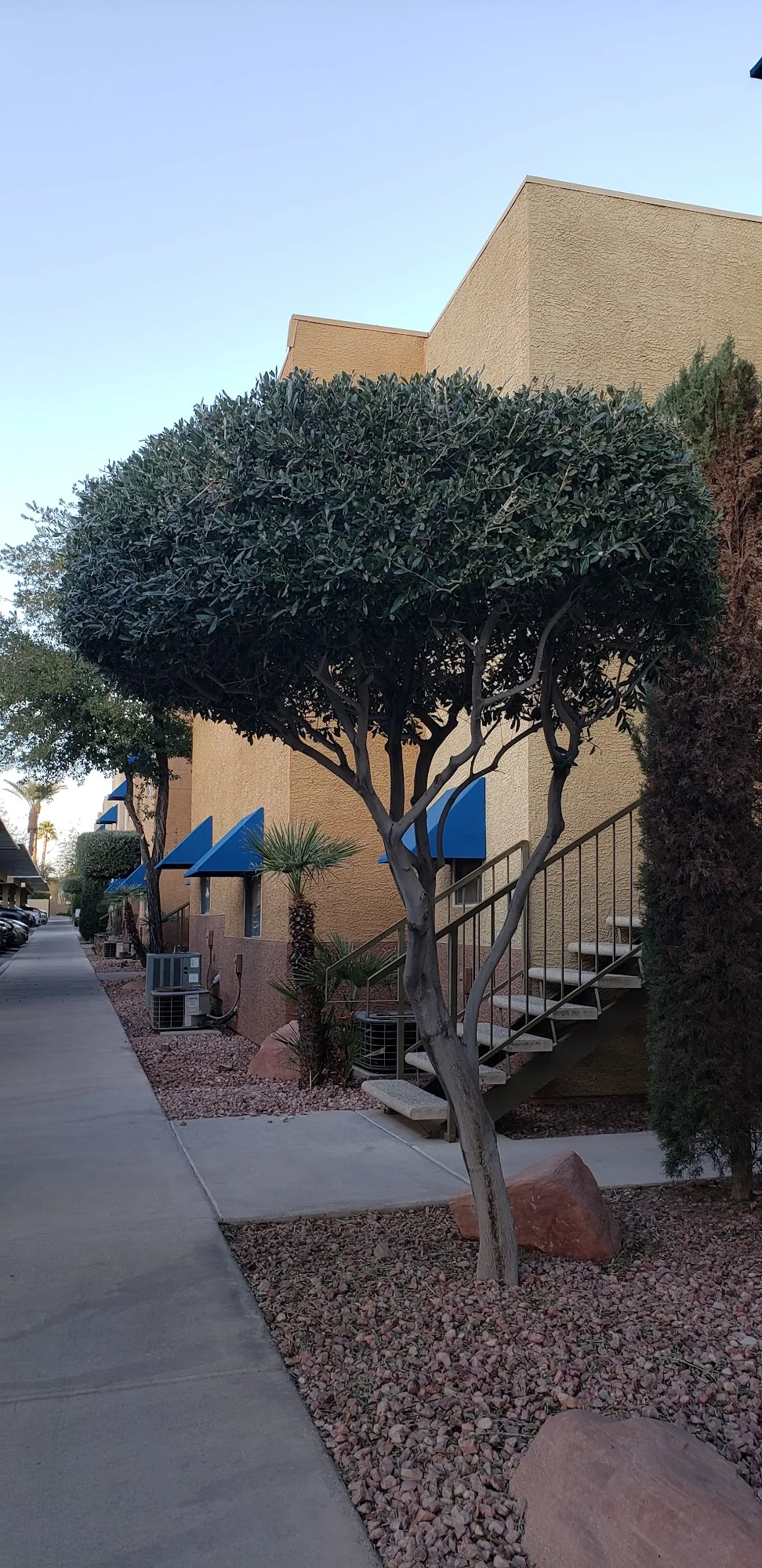 Sienna Senior Apartments