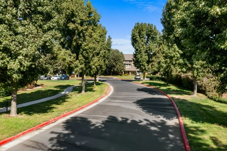 SIERRA HILLS