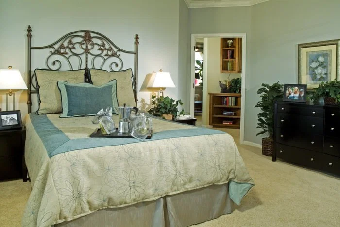 SILVERADO HOMES AT ESKATON VILLAGE ROSEVILLE