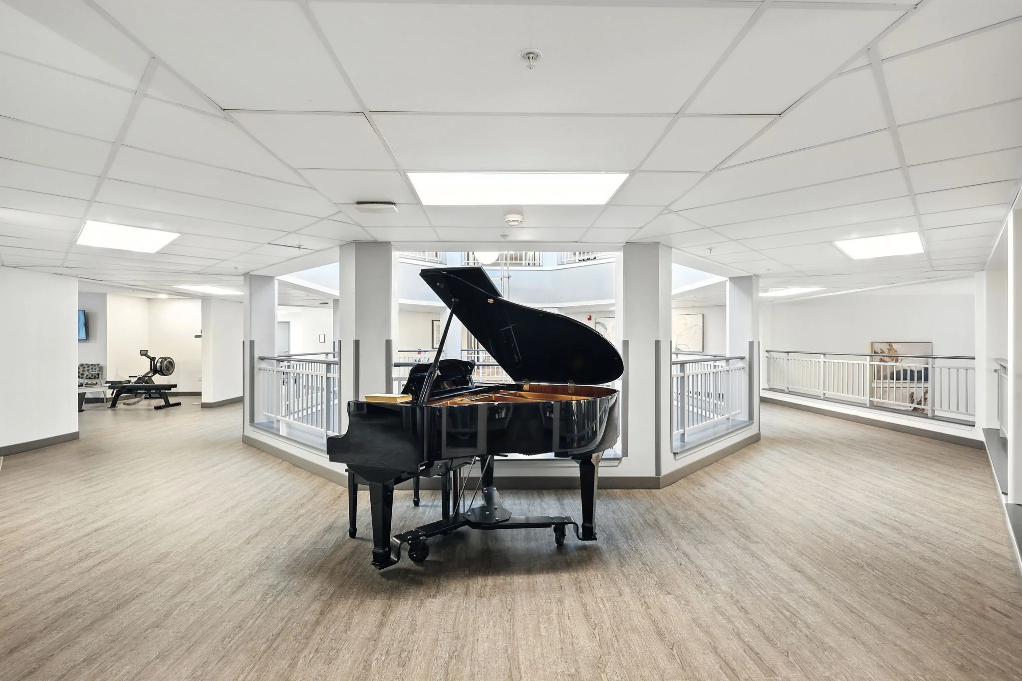 SOLISTA HICKORY BY COGIR