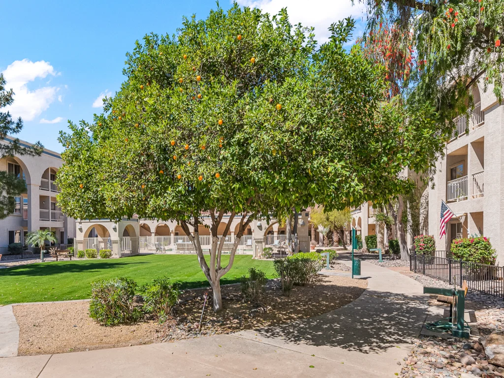 SOLSTICE SENIOR LIVING AT SUN CITY WEST
