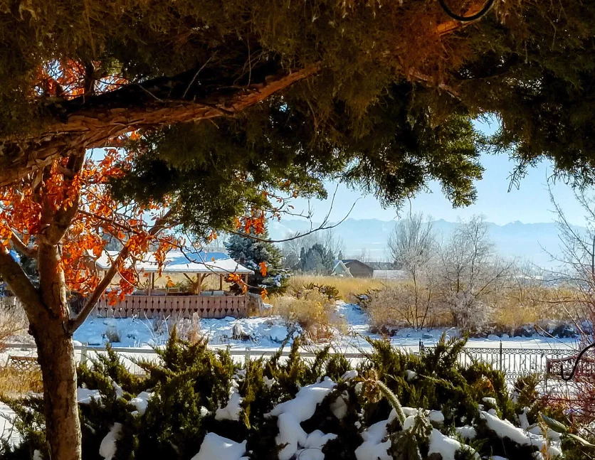 SPRING CREEK CHALET