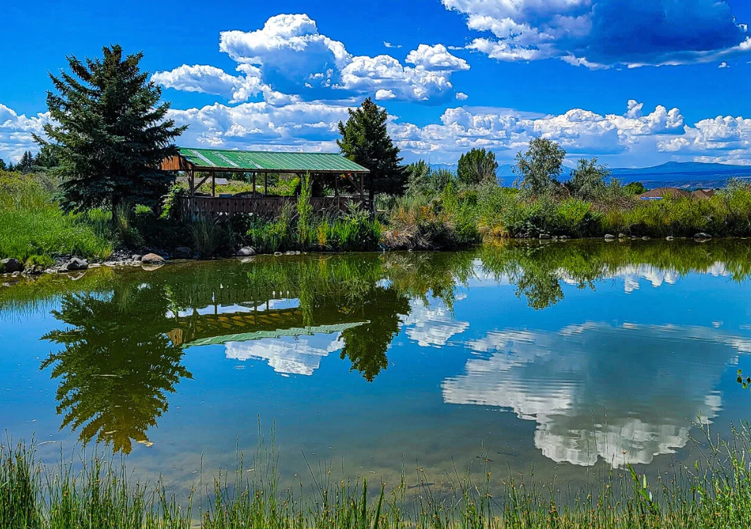 SPRING CREEK CHALET