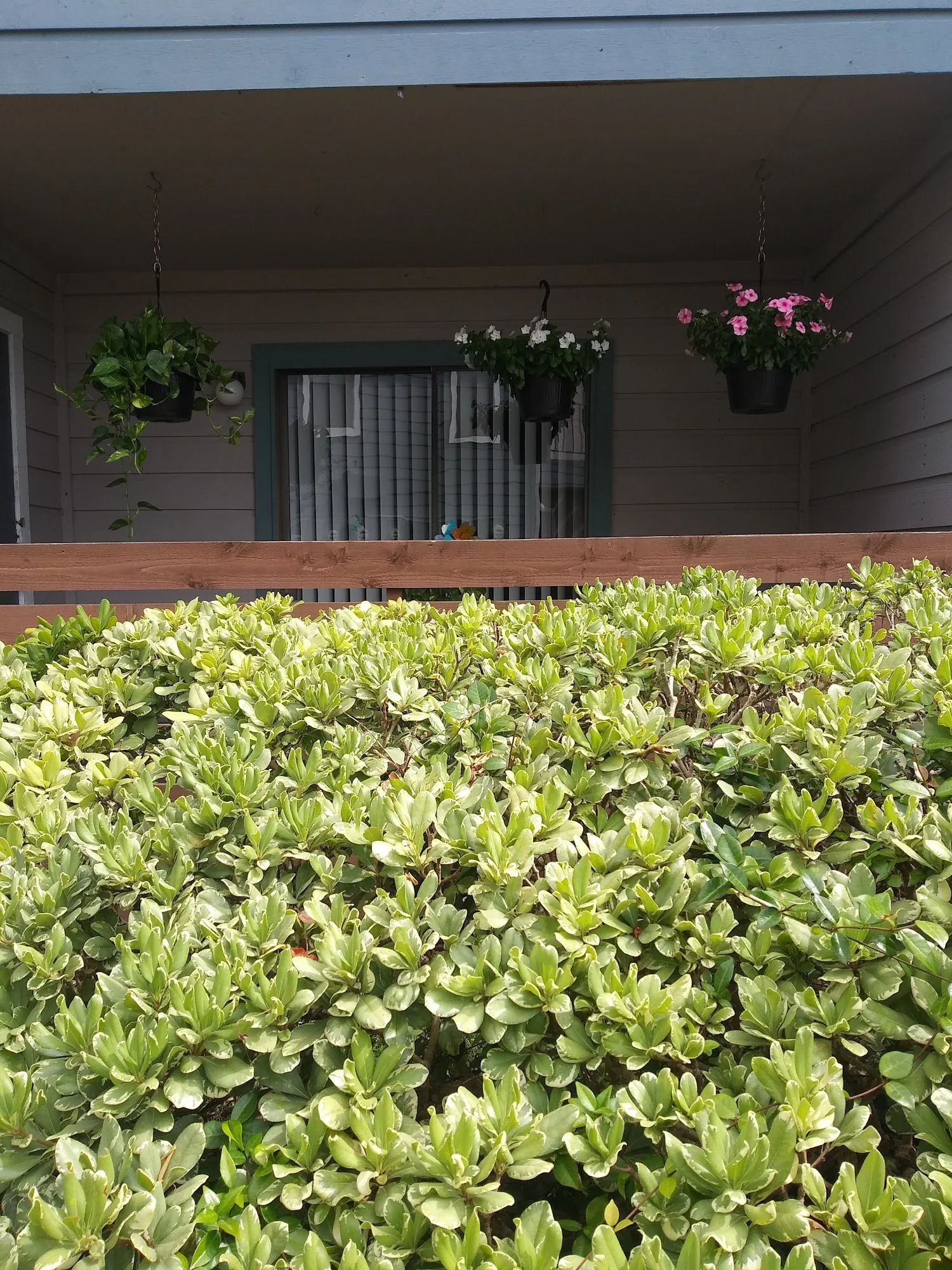 Sugar Tree Apartment Homes