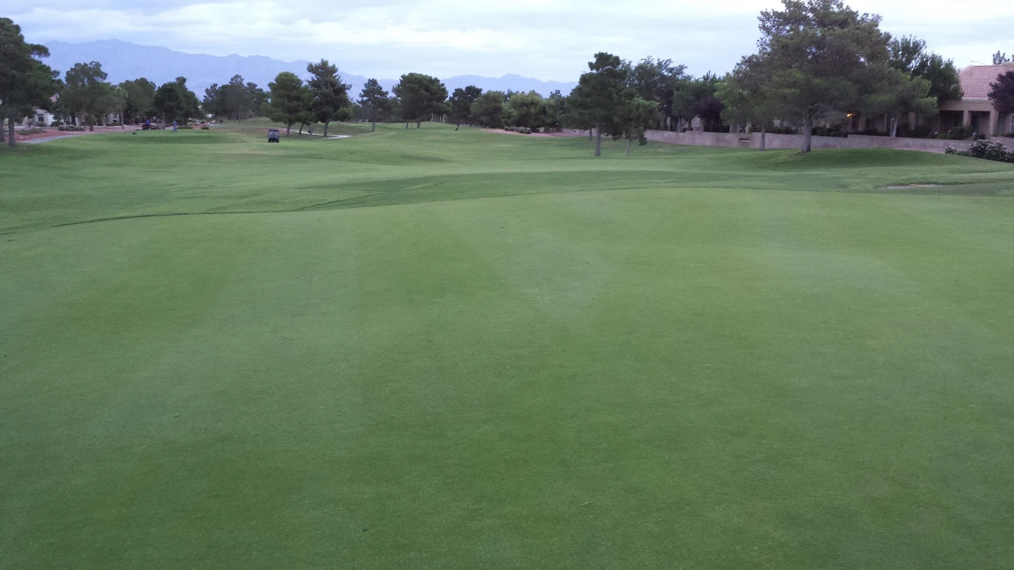 Sun City Summerlin Community