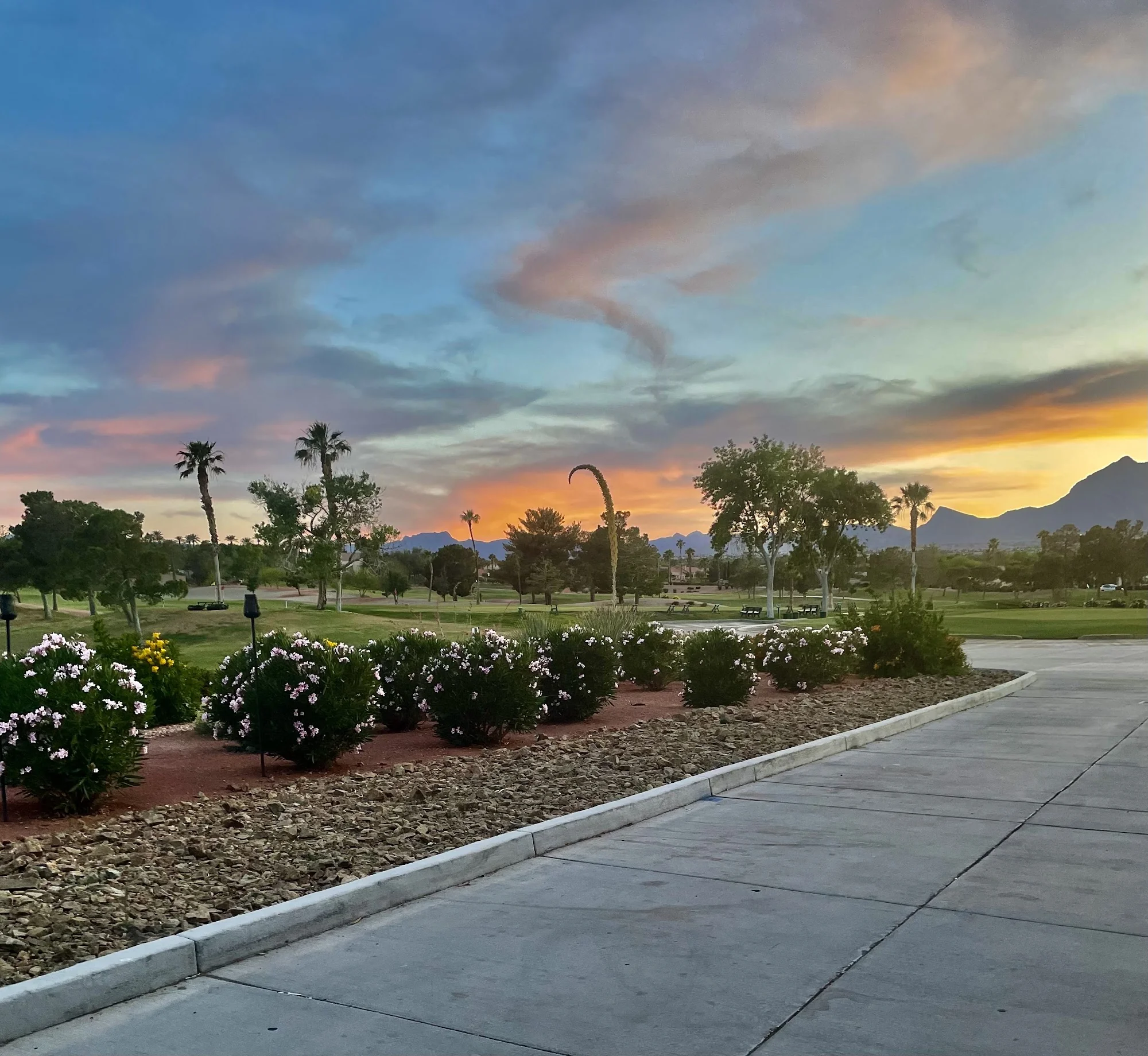 Sun City Summerlin Community