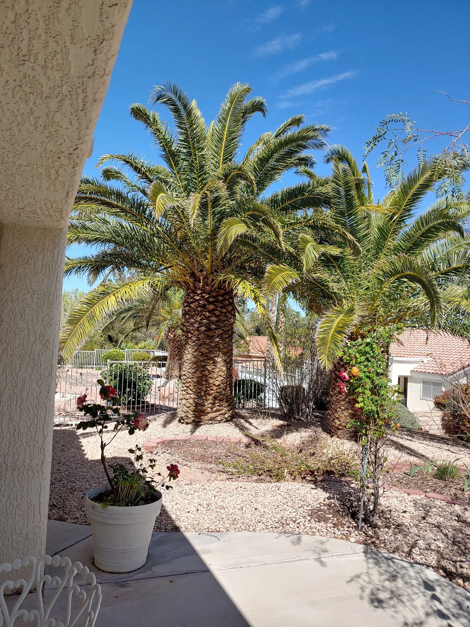 Sun City Summerlin Community