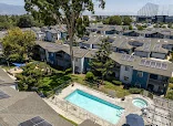 Terra Vista Apartments And Townhomes