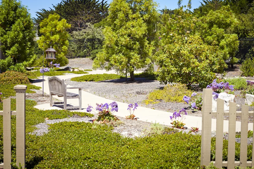 THE COTTAGES OF CARMEL