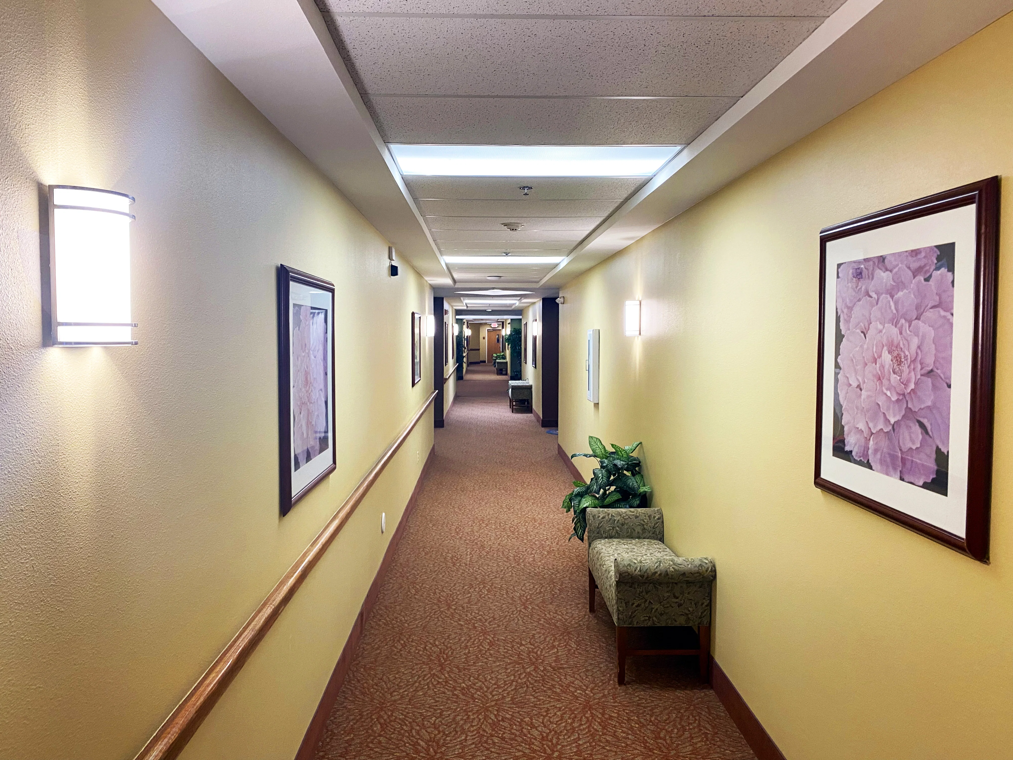 THE IRIS SENIOR LIVING