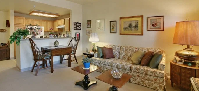 THE IVY MOUNTAIN VIEW