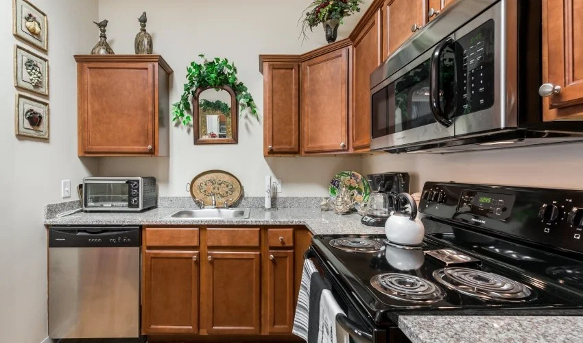THE MANSIONS AT SANDY SPRINGS SENIOR INDEPENDENT LIVING