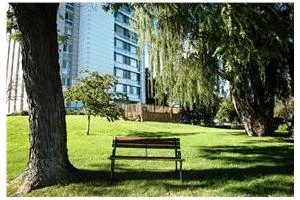 THE MEADOWS OF BROWNSTOWN