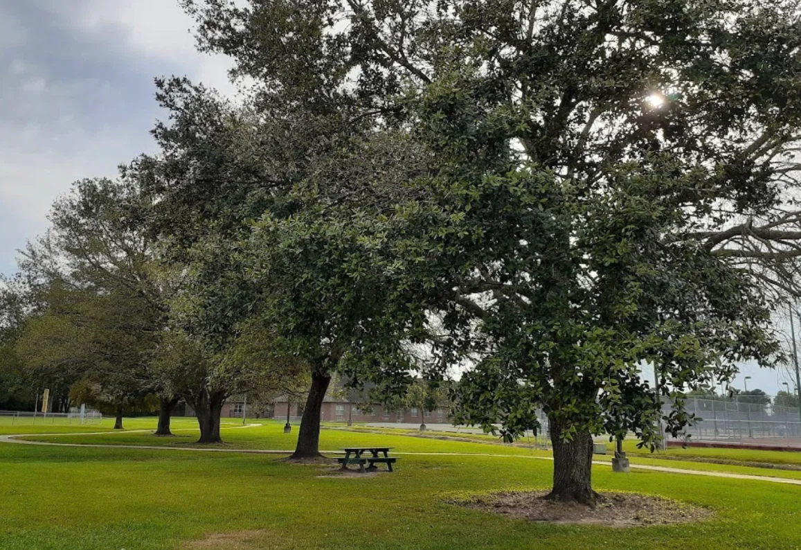 THE PARC SENIOR LIVING