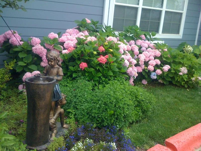 THE ROSE HOUSE