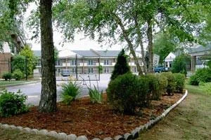THE SENIOR VILLAGES