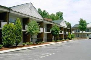 THE SENIOR VILLAGES