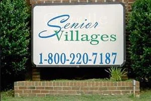 THE SENIOR VILLAGES