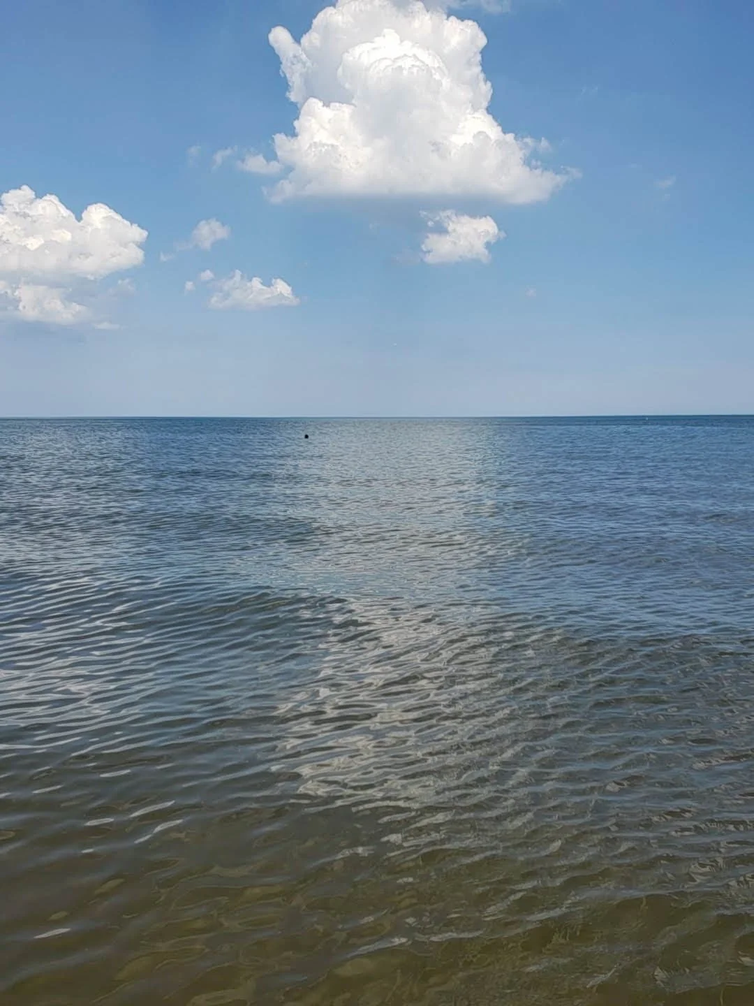 The Breakers at Edgewater Beach