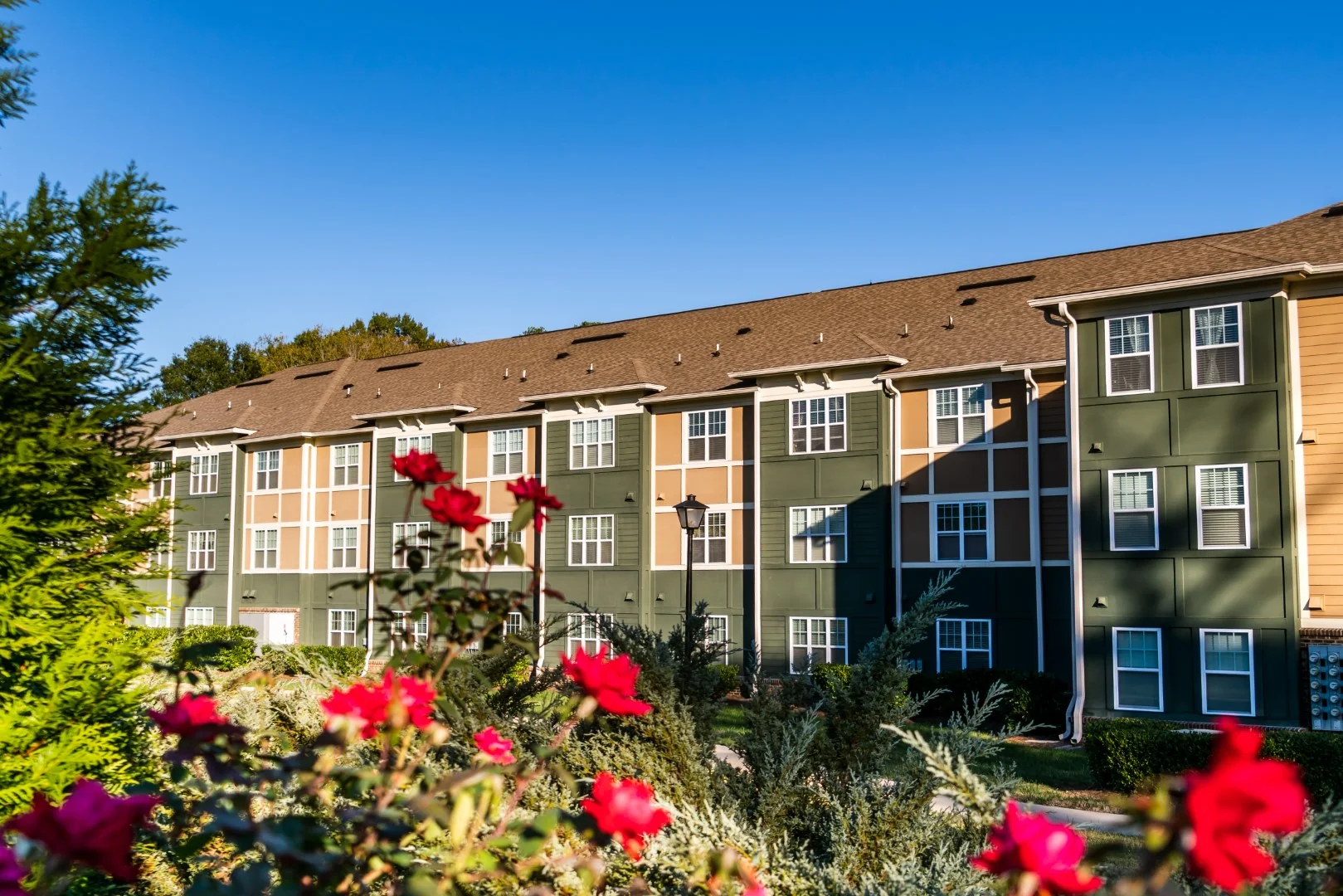 The Dannelly At The Catawba Senior Apartment Homes