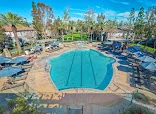 The Enclave at Homecoming Terra Vista