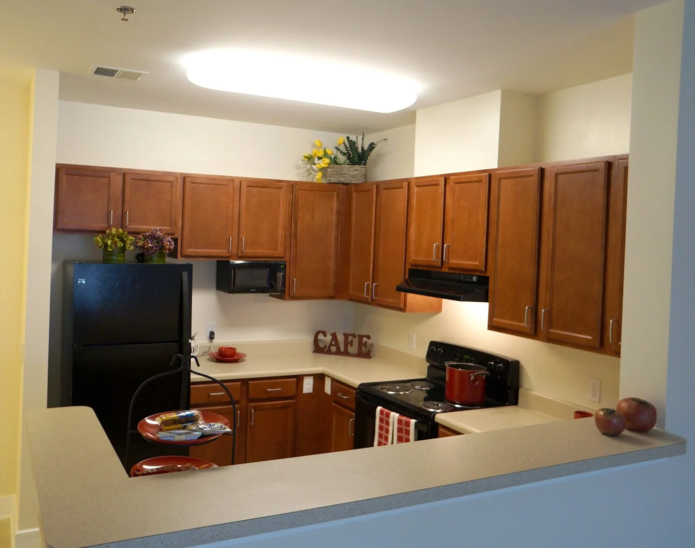 The Greens at Irvington Mews - Independent Living photo
