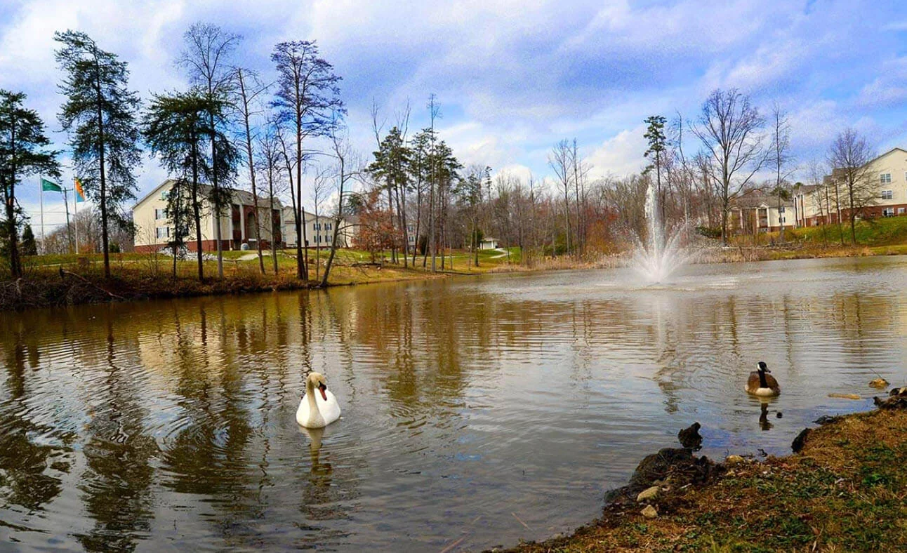 The Lodge at Lakeshore