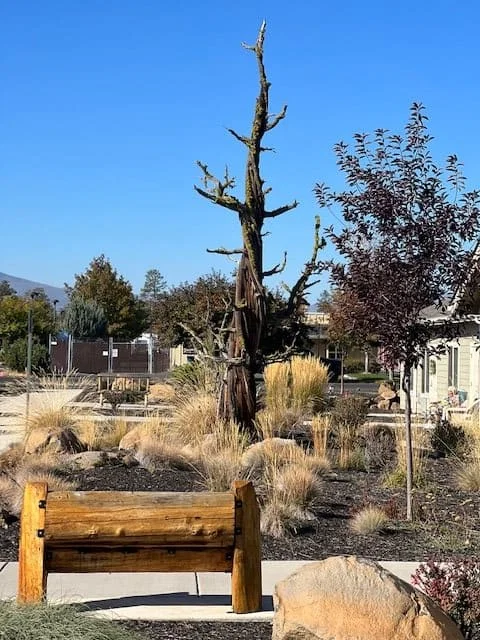 The Lodge Retirement Community