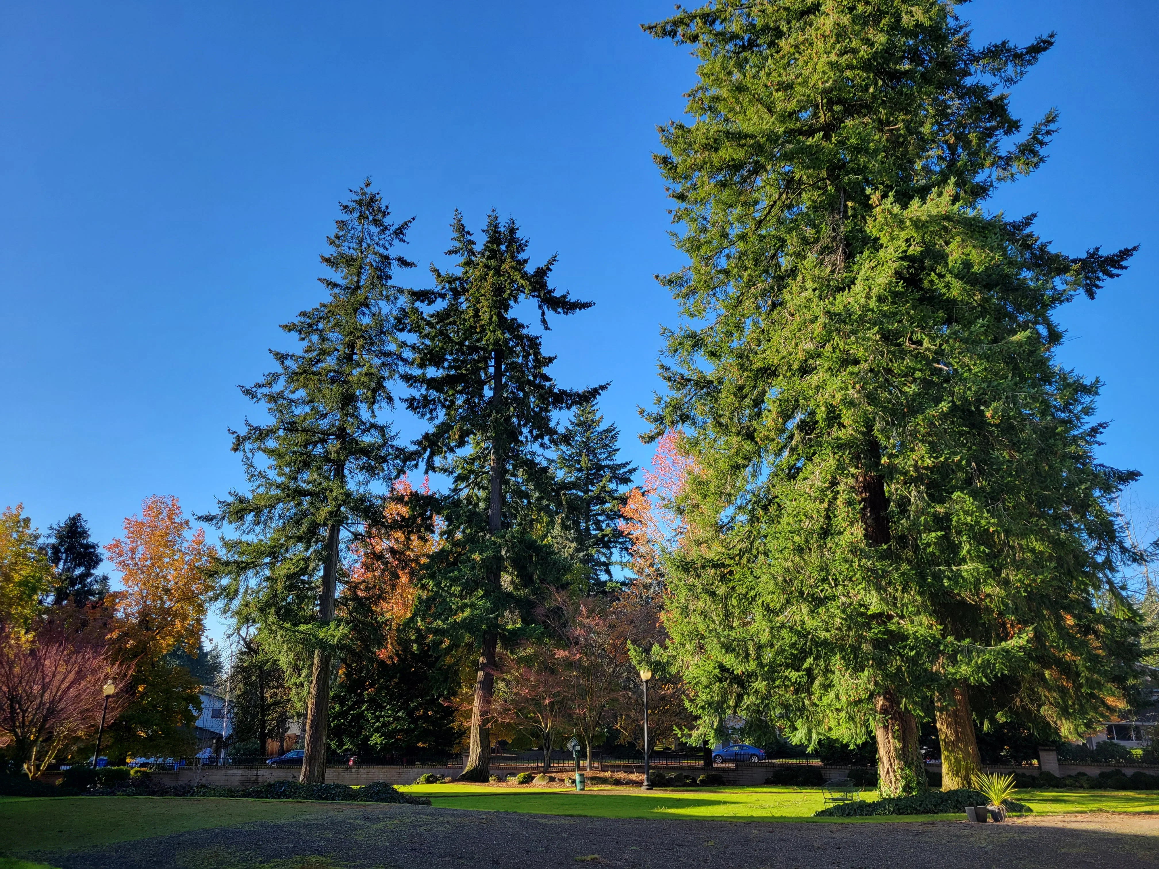 TRUEWOOD BY MERRILL, VANCOUVER