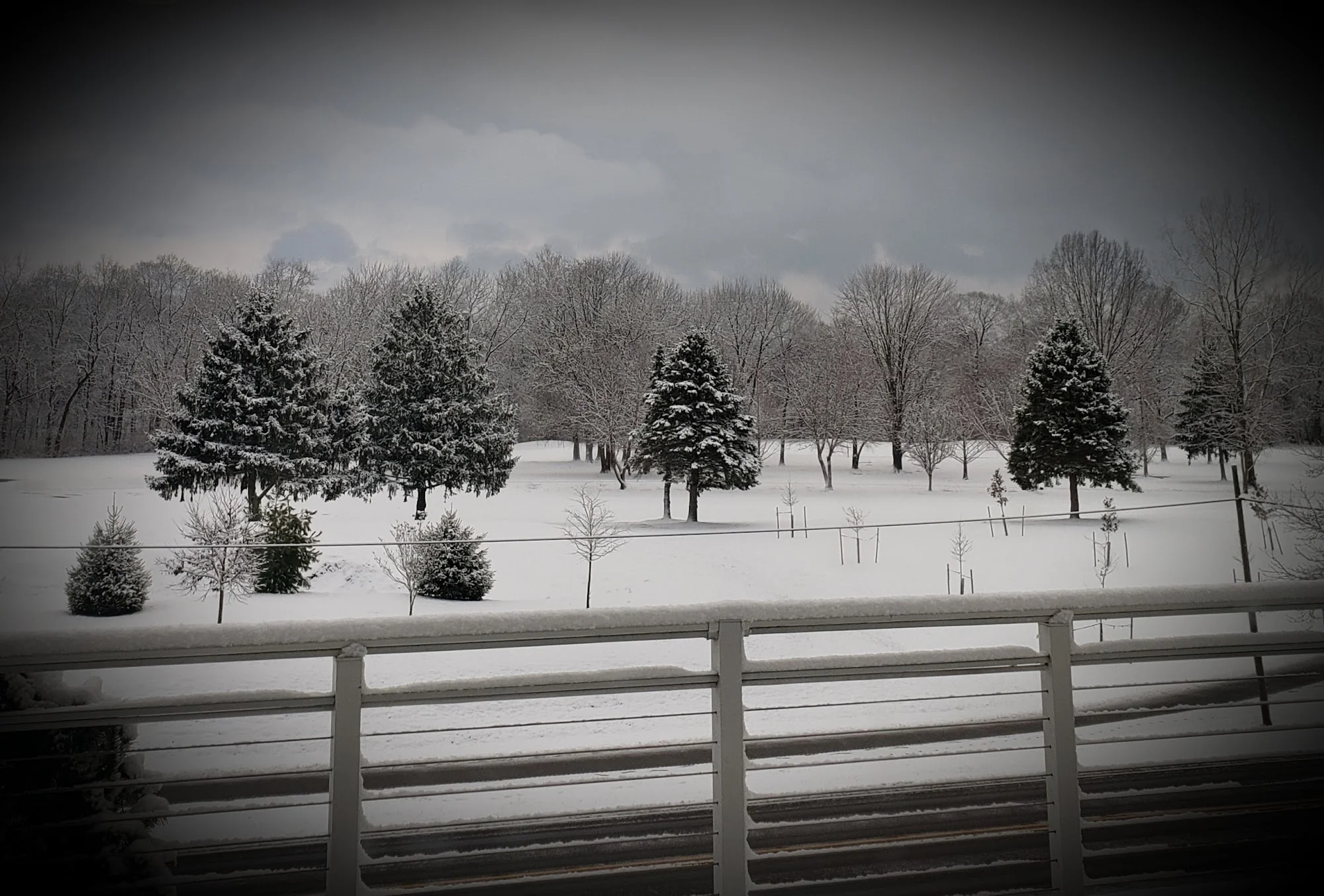 Walnut Trace