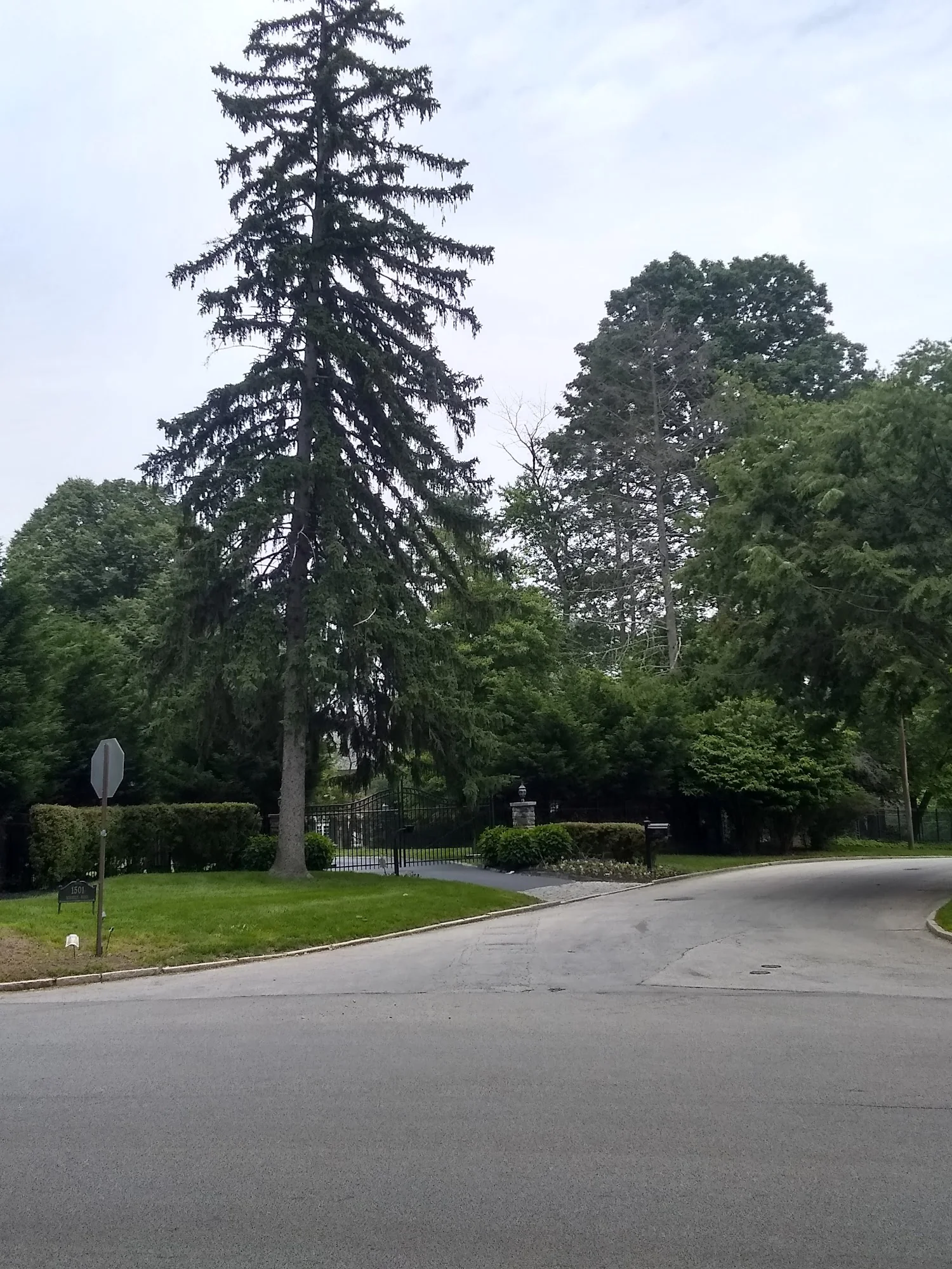 Waverly Heights
