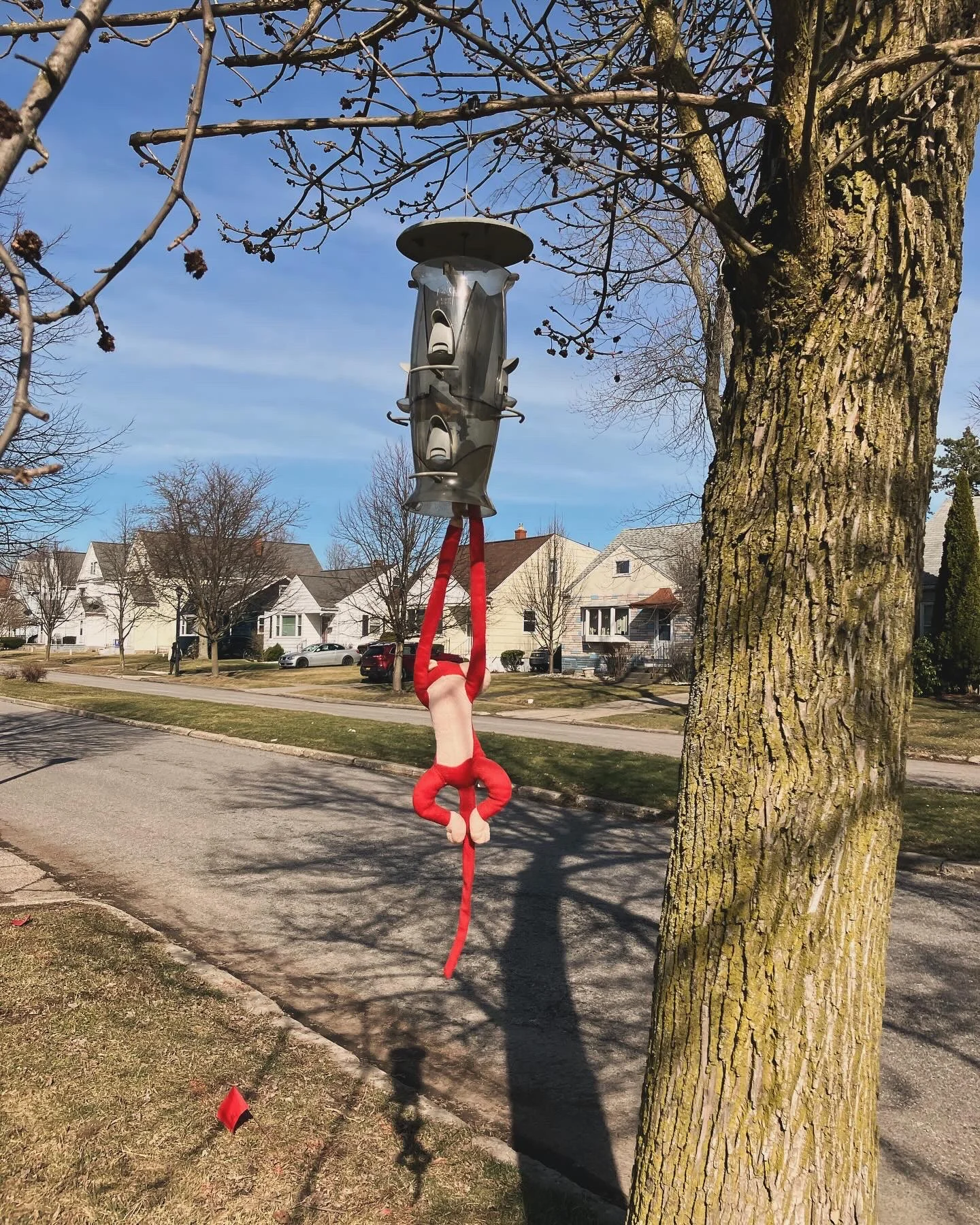 Western New York Independent Living