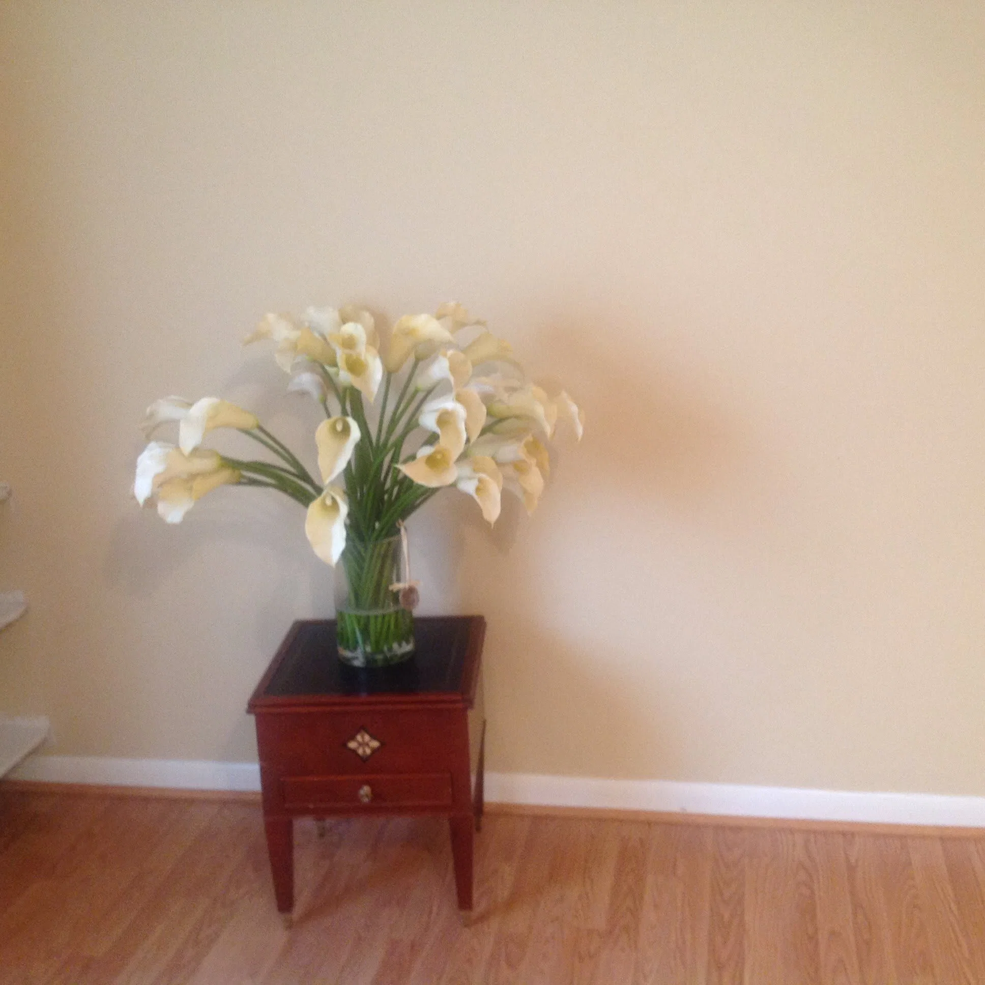 ADL Assisted Living