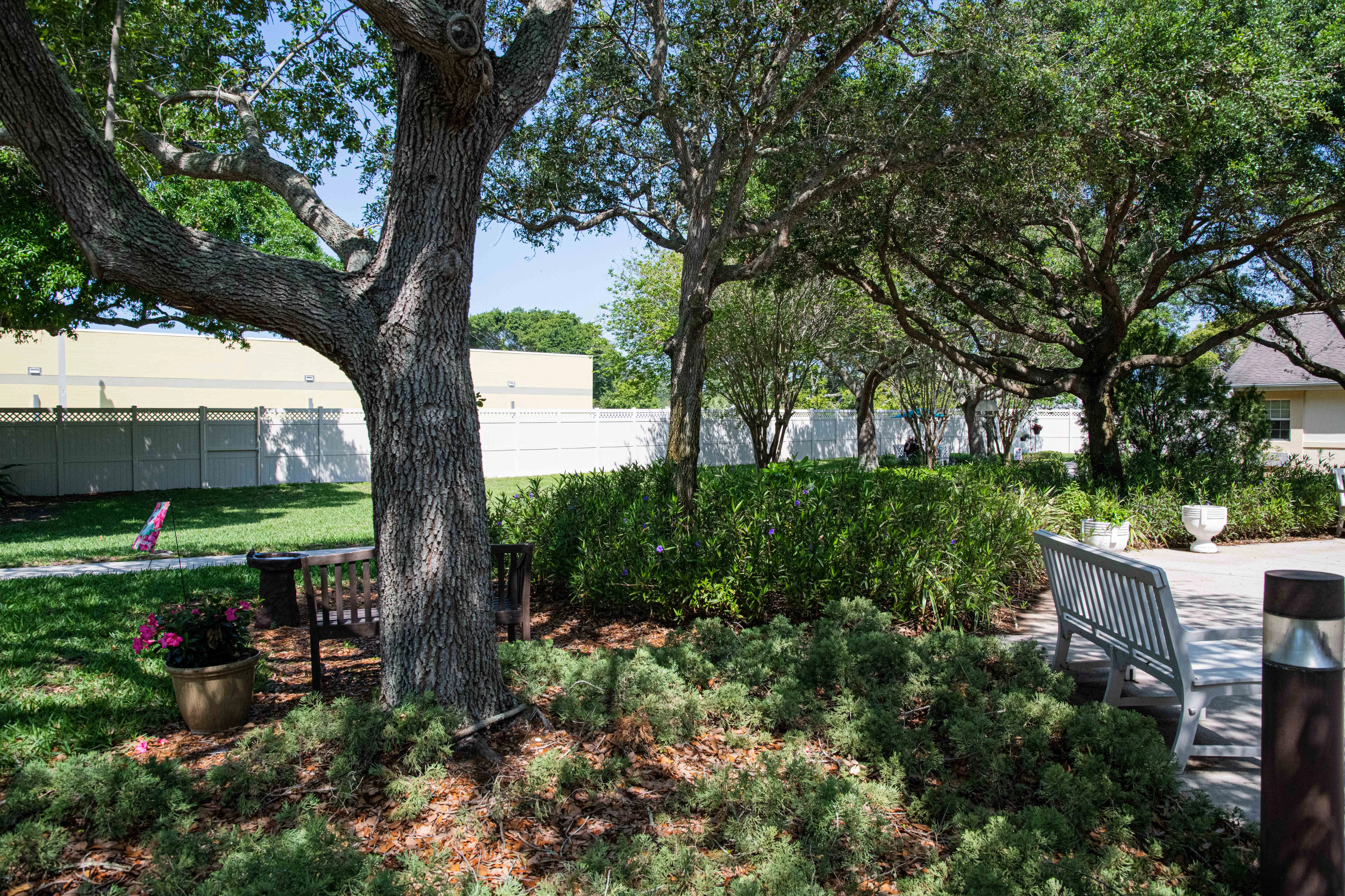 ARDEN COURTS OF SEMINOLE