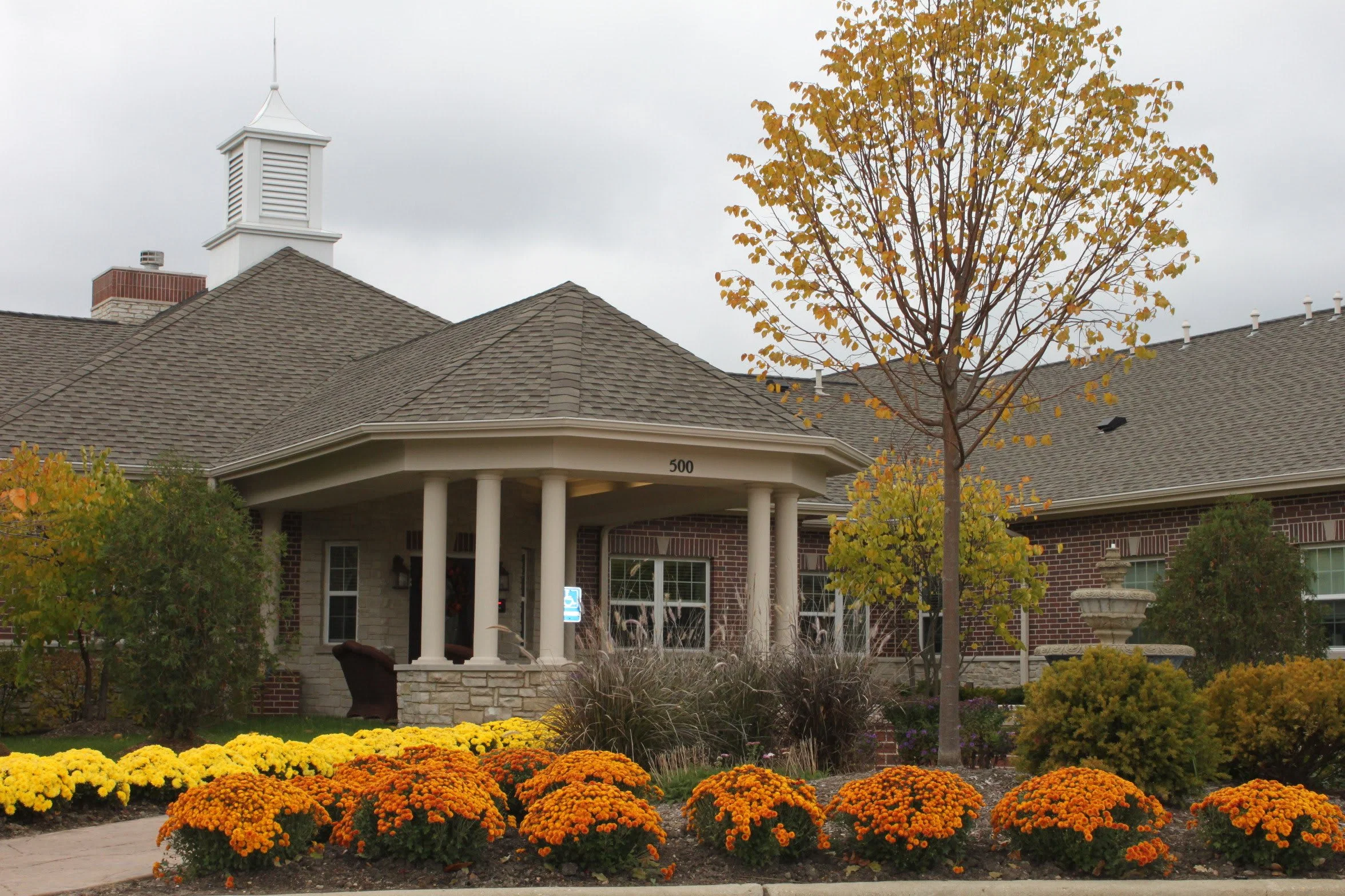 Autumn Leaves of Vernon Hills