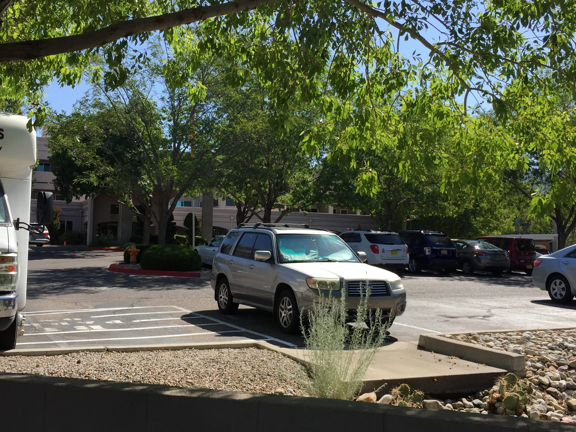 Bear Canyon Estates | Sky Active Living