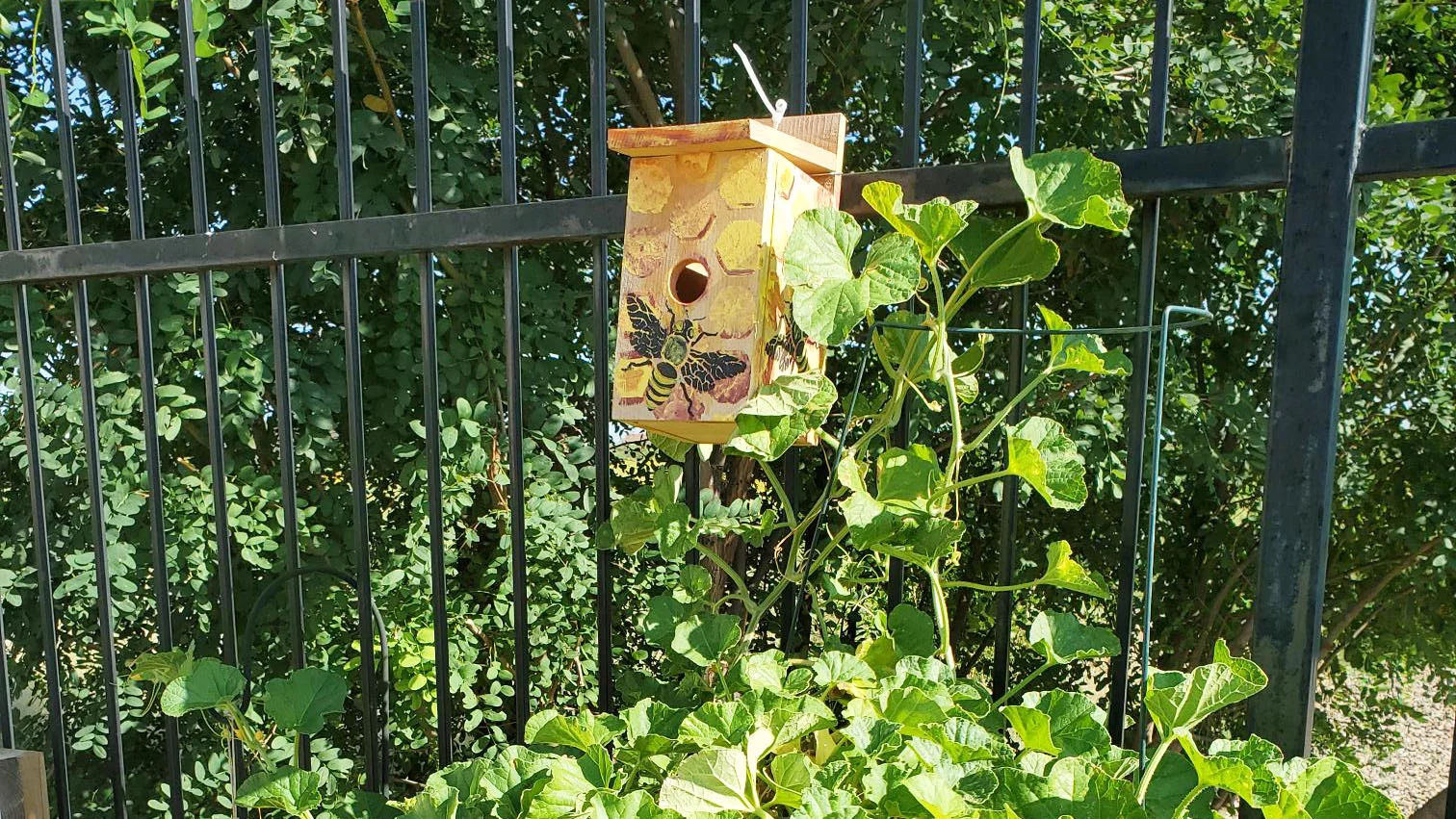 BEEHIVE HOMES OF HOBBS
