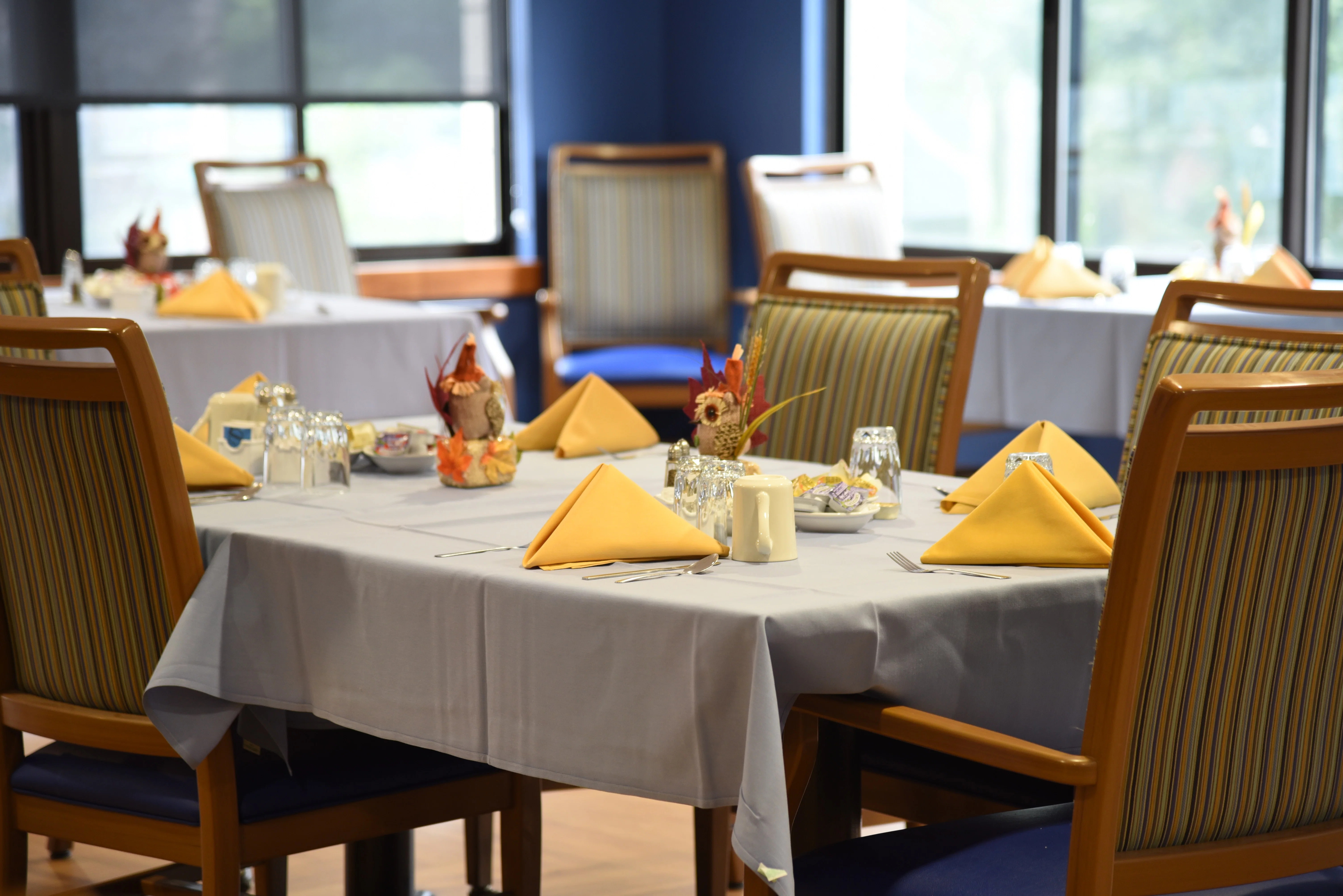 BELLE REVE SENIOR LIVING
