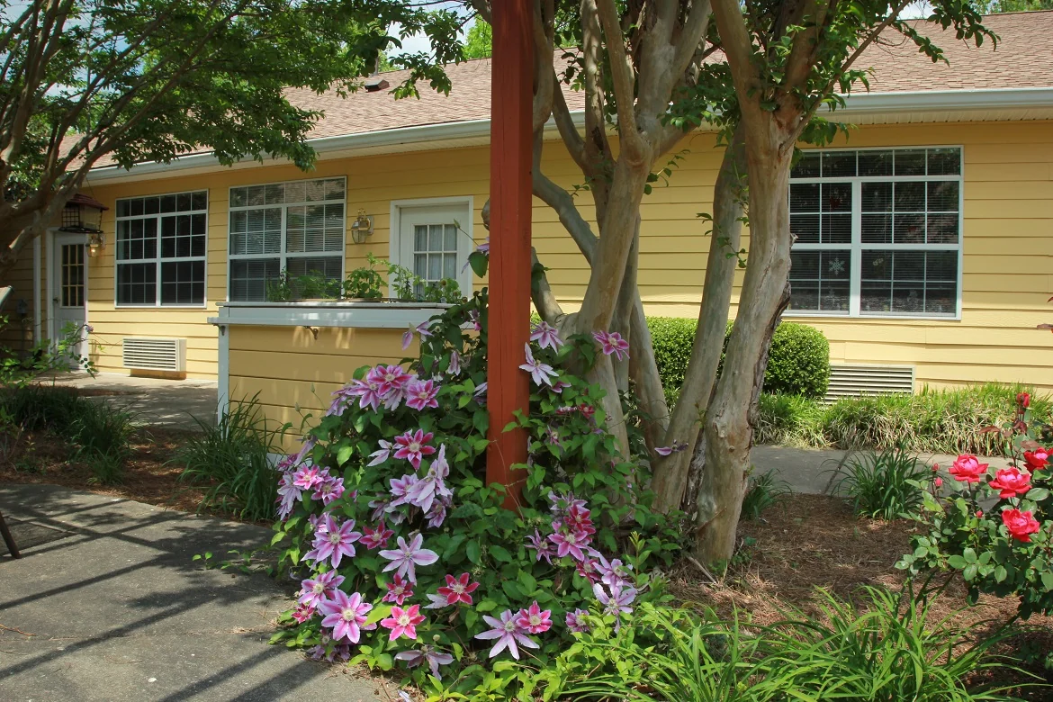 Belvedere Commons of Franklin