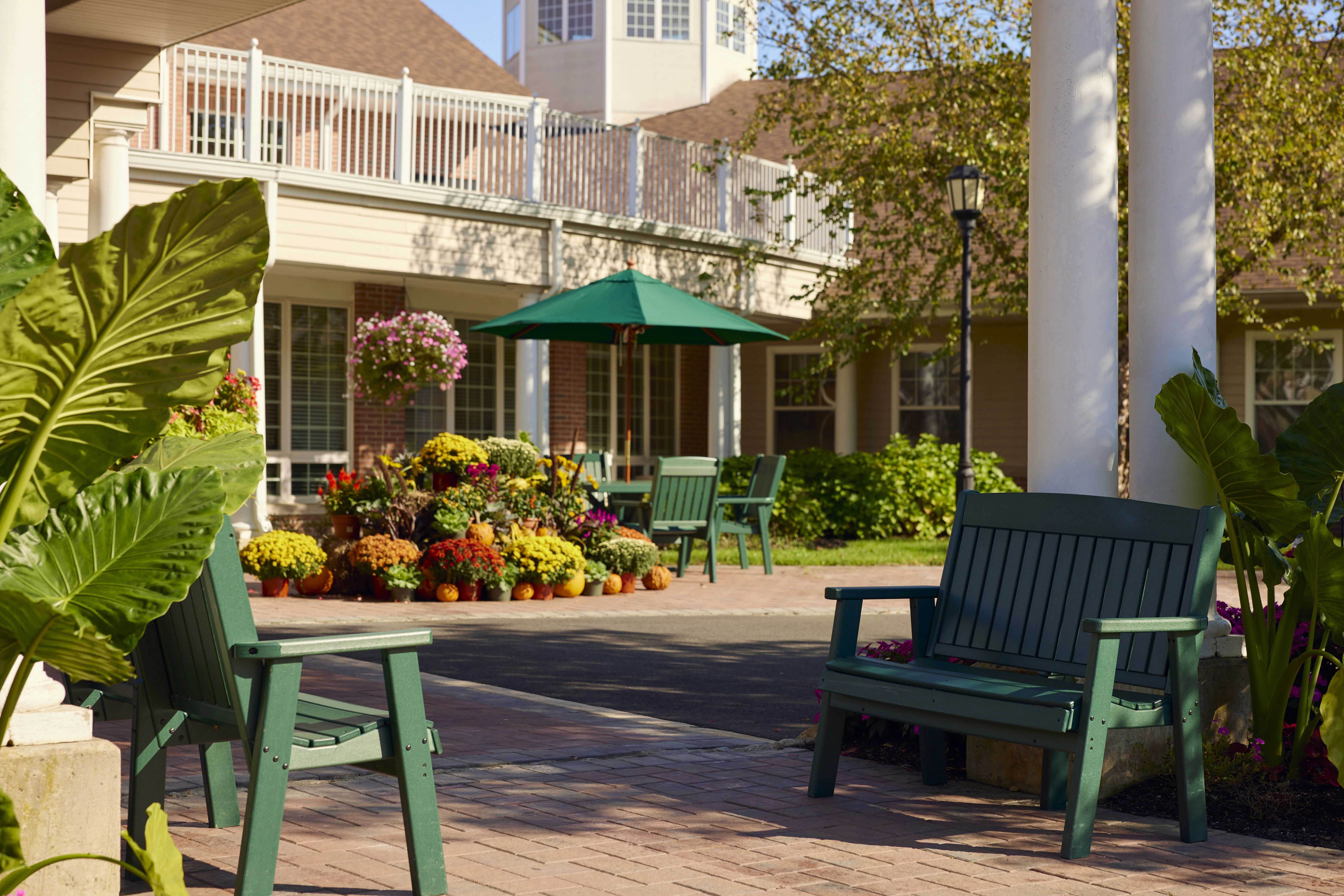 Brandywine Colts Neck by Monarch