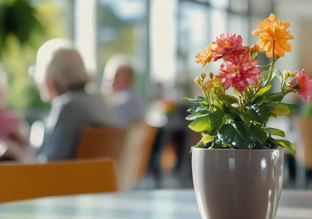 CAMBRIDGE LANDING MEMORY CARE