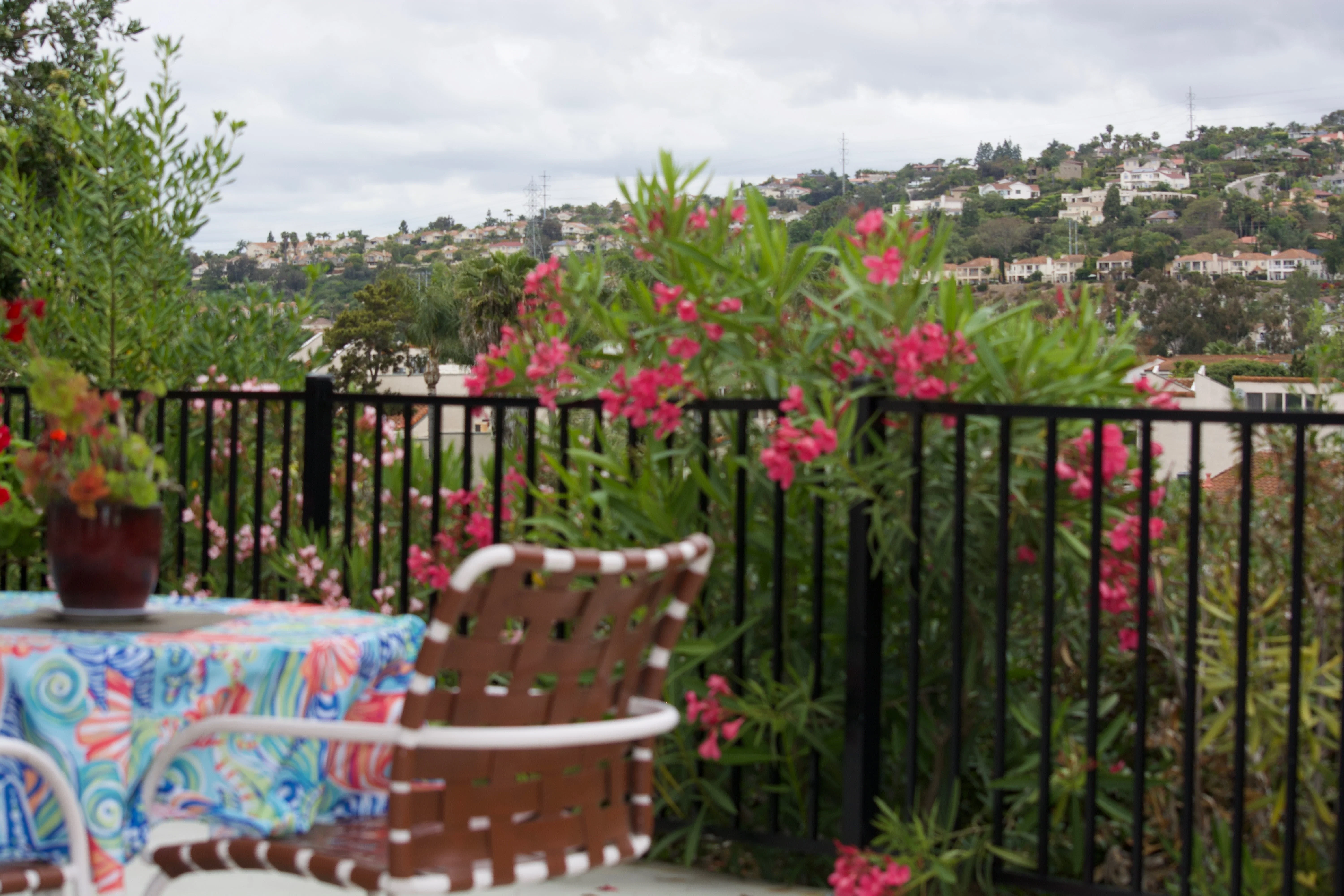 Carlsbad Elder Care